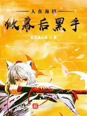 人在海贼，做幕后黑守